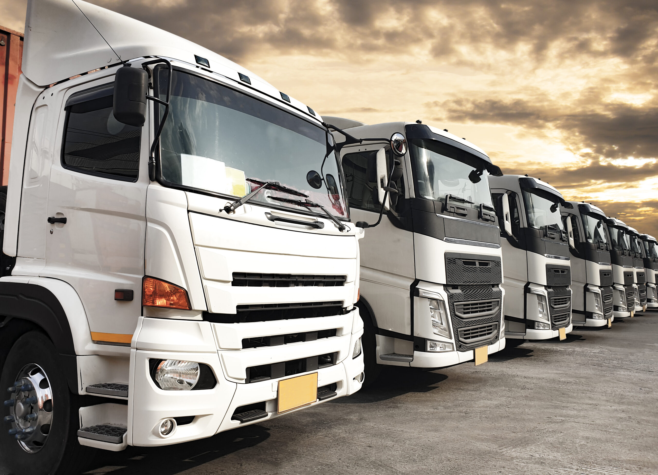 Isuzu Dyna Trucks